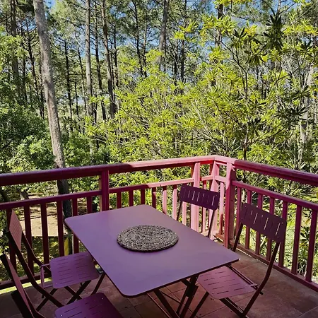 Smartstay Ocean - Apartman Lacanau
